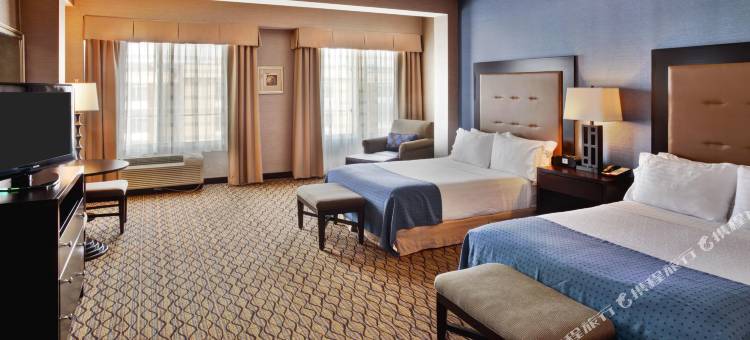 底特律大都会机场假日酒店(Holiday Inn Detroit Metro Airport)图片