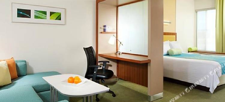 阿什本杜勒斯北SpringHill套房酒店(SpringHill Suites Ashburn Dulles North)图片