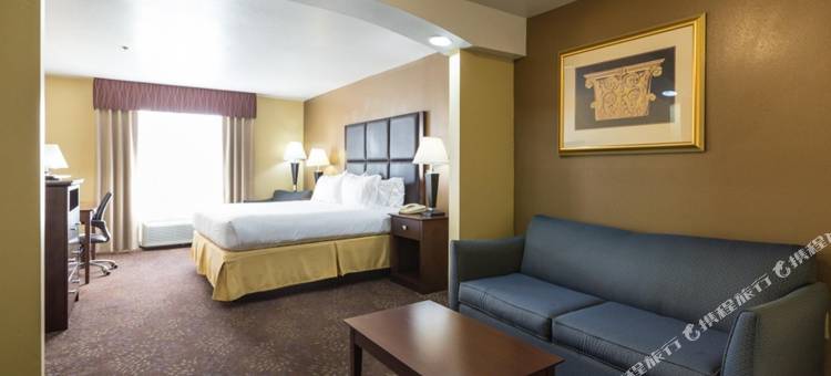 智选假日套房酒店海恩斯维尔(Holiday Inn Express & Suites Hinesville East - Fort Stewart)图片