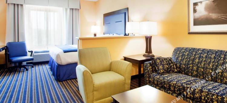 智选假日套房酒店威尔明顿，纽华克(Holiday Inn Express & Suites Wilmington-Newark)图片