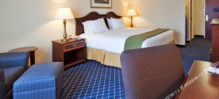 智选假日套房酒店多森北(Holiday Inn Express & Suites Dothan North)图片