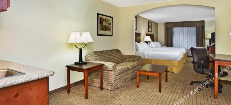 智选假日套房酒店东兰辛(Holiday Inn Express & Suites East Lansing)图片