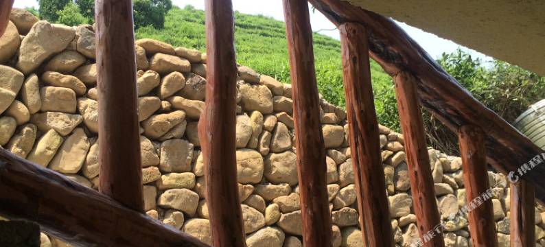 莫干山兰花小院民宿图片