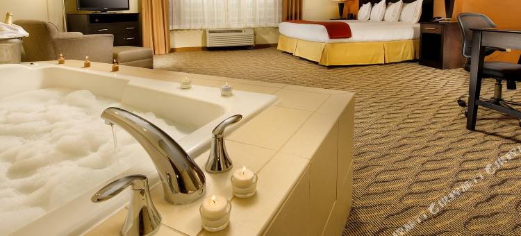 智选假日套房酒店马纳萨斯(Holiday Inn Express & Suites Manassas)图片