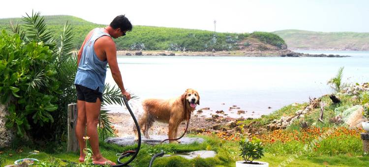 澎湖侯鸟潮间带民宿图片