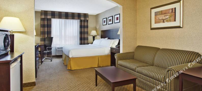 智选假日套房酒店安德森(Holiday Inn Express & Suites ANDERSON by IHG)图片
