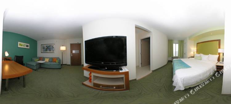 北查尔斯顿/阿什利法斯菲特万豪SpringHill Suites 酒店(SpringHill Suites Charleston North/Ashley Phosphate)图片