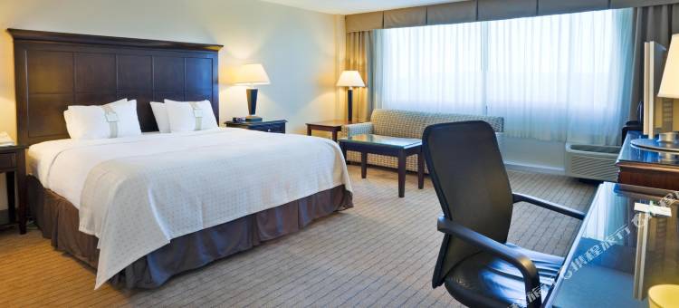 Holiday Inn 伯明翰机场(Holiday Inn Birmingham-Airport)图片