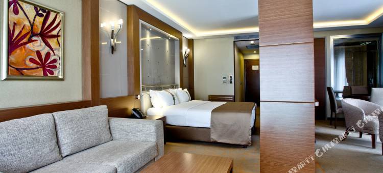 Holiday Inn 安卡拉(Holiday Inn Ankara - Kavaklidere)图片