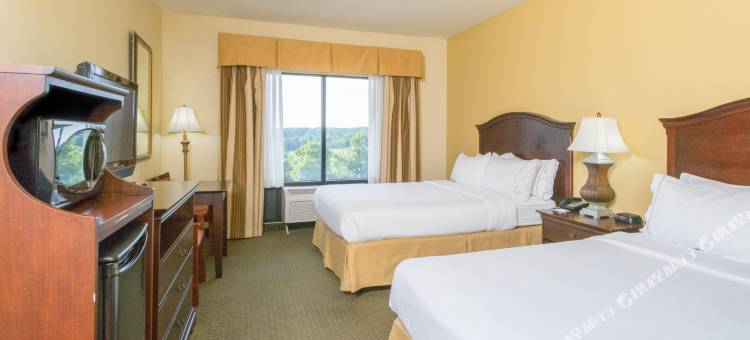 智选假日套房酒店列克星敦的NW -葡萄园(Holiday Inn Express & Suites Lexington NW-The Vineyard)图片