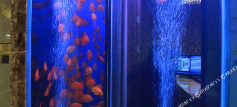 繁昌东方花园宾馆图片