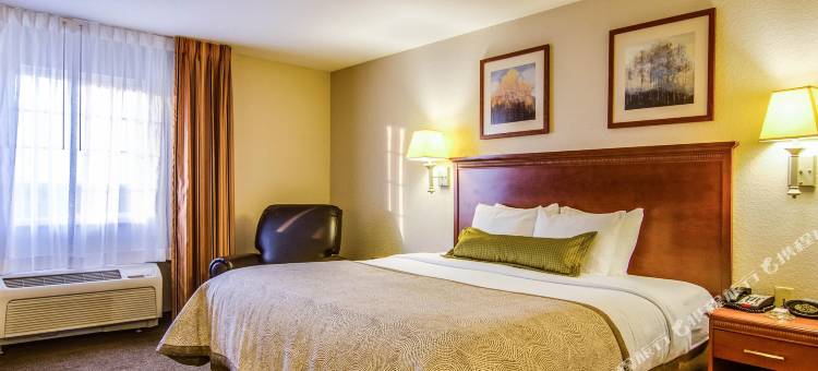 Candlewood Suites 杰克逊维尔东美林路(Candlewood Suites Jacksonville East Merril Road)图片