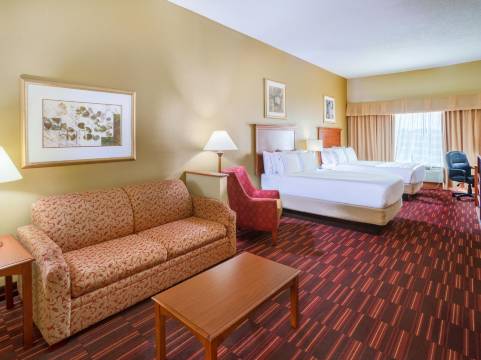 智选假日套房酒店伍德布里奇(Holiday Inn Express & Suites WOODBRIDGE by IHG)