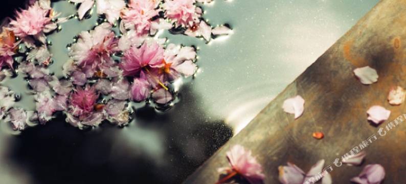 罗平麗雅庭院酒店图片