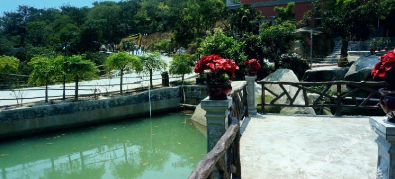 南澳爱来林山庄(黄花山海岛森林公园店)图片