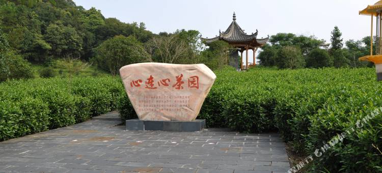 婺源林生茶庄图片