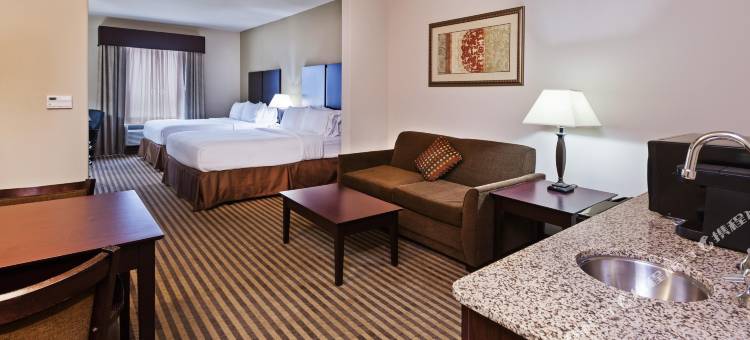 智选假日套房酒店布雷迪(Holiday Inn Express & Suites Brady)图片
