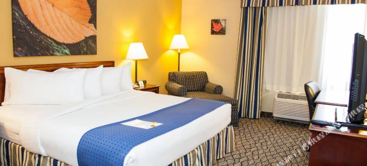 Holiday Inn & Suites 芝加哥DOWNTOWN(Holiday Inn & Suites CHICAGO-DOWNTOWN by IHG)图片