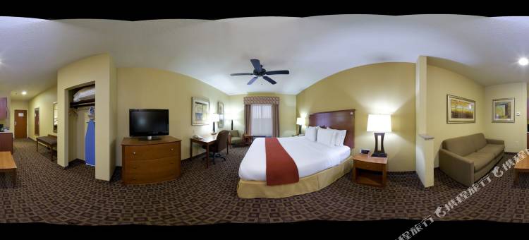 Holiday Inn Express 麦库姆(Holiday Inn Express Mccomb)图片