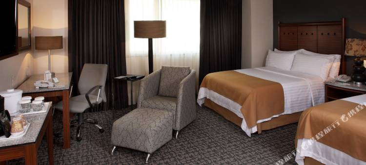 Holiday Inn 墨西哥城贸易城的中心(Holiday Inn Ciudad de Mexico-Trade Center)图片