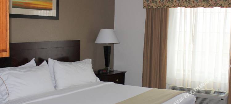智选假日套房酒店纽约普莱恩维尤(Holiday Inn Express & Suites Plainview)图片