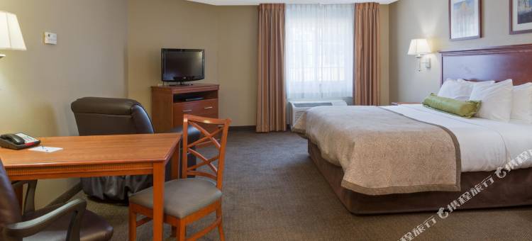 Candlewood Suites 塔拉哈西(Candlewood Suites Tallahassee)图片