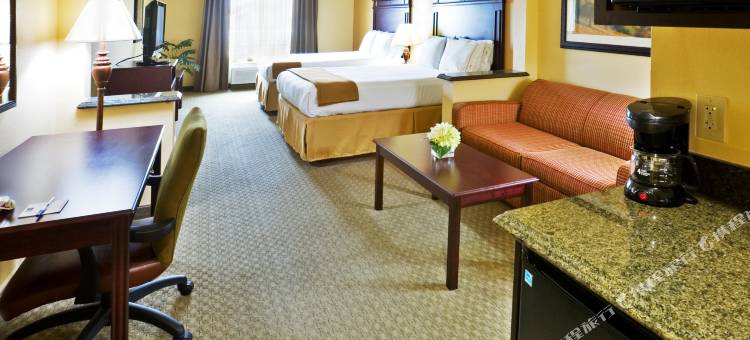 智选假日套房酒店特克萨卡纳(Holiday Inn Express & Suites Texarkana)图片