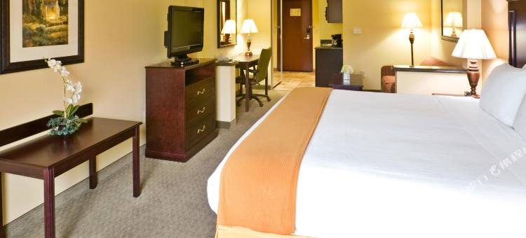 智选假日套房酒店特克萨卡纳(Holiday Inn Express & Suites Texarkana)图片