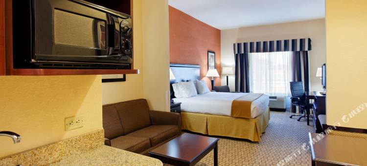 智选假日套房酒店塔拉迪加(Holiday Inn Express & Suites Talladega)图片
