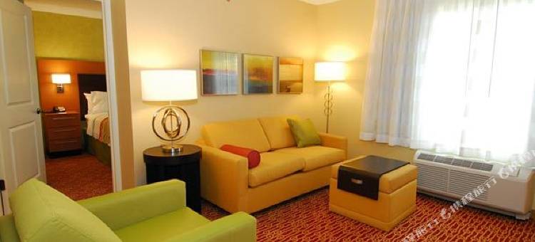阿伦德尔米尔斯巴尔的摩国际机场TownePlace Suites酒店(TownePlace Suites Arundel Mills BWI Airport)图片