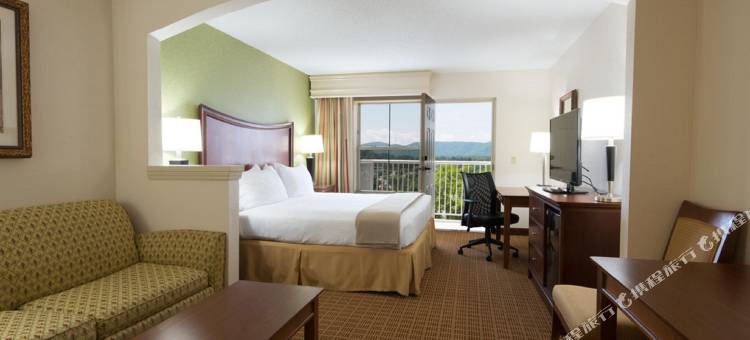 智选假日套房酒店阿什维尔的比尔特摩广场购物中心(Holiday Inn Express & Suites Asheville SW - Outlet Ctr Area)图片