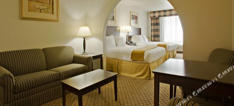 智选假日套房酒店德里斯(Holiday Inn Express & Suites Childress)图片