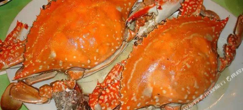 蓬莱晗宇渔家公寓图片