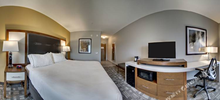 智选假日套房酒店奥尔巴尼 by IHG(Holiday Inn Express & Suites ALBANY by IHG)图片