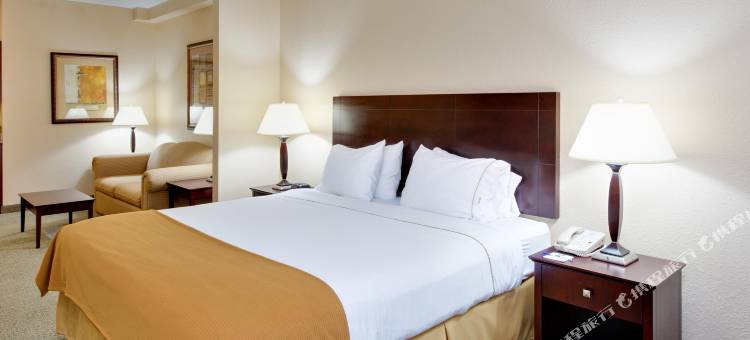 智选假日套房酒店雅典(Holiday Inn Express & Suites Athens)图片