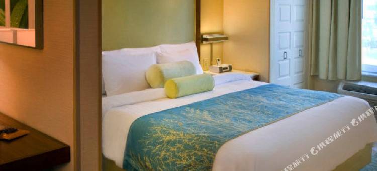 锡拉丘兹卡里尔环岛万豪SpringHill酒店(SpringHill Suites Syracuse Carrier Circle)图片