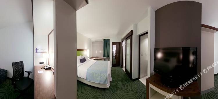 亚历山德里亚旧城/西南万豪SpringHill酒店(SpringHill Suites Alexandria Old Town/Southwest)图片