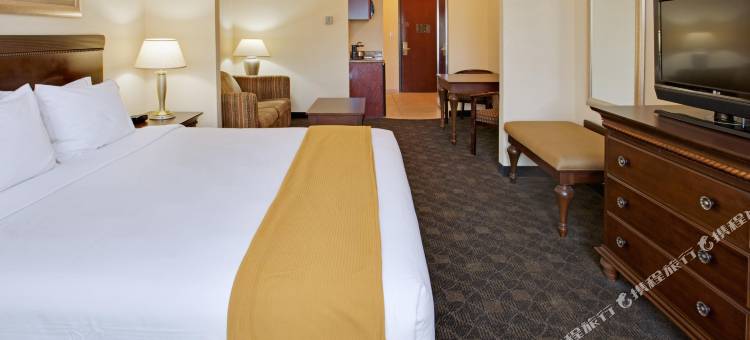 智选假日套房酒店皮尔兰(Holiday Inn Express & Suites Pearland)图片