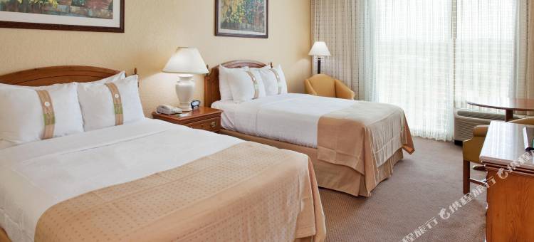 Holiday Inn 马亚圭斯和热带娱乐场(Holiday Inn Mayaguez & Tropical Casino)图片