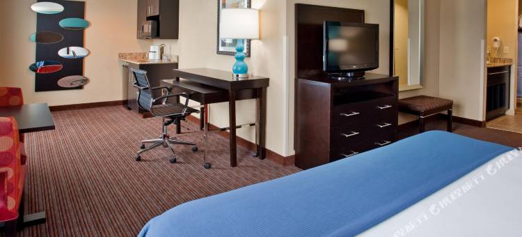智选假日套房酒店北堪萨斯城(Holiday Inn Express & Suites North Kansas City)图片