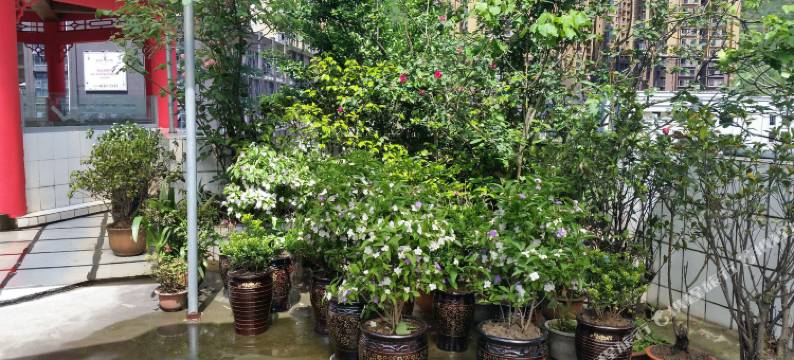 重庆筑楼宾馆图片