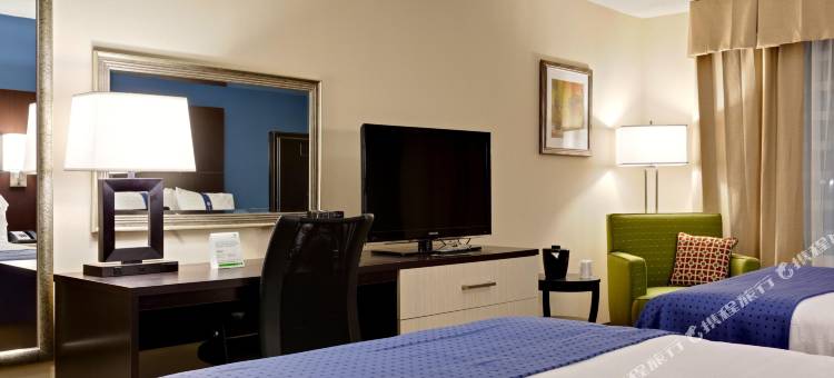 Holiday Inn & Suites 亚特兰大机场北(Holiday Inn & Suites ATLANTA AIRPORT-NORTH by IHG)图片