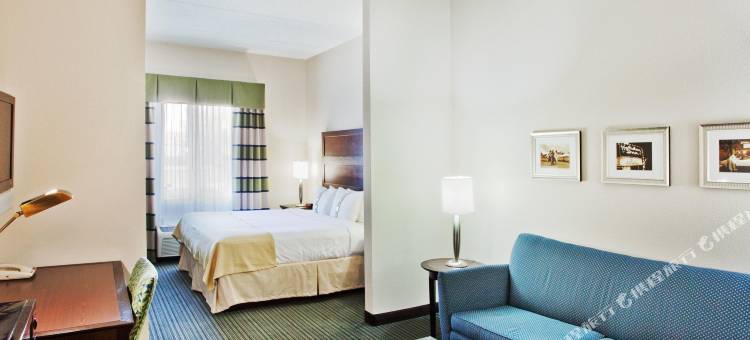 Holiday Inn 亚特兰大/罗斯威尔(Holiday Inn Atlanta/Roswell)图片