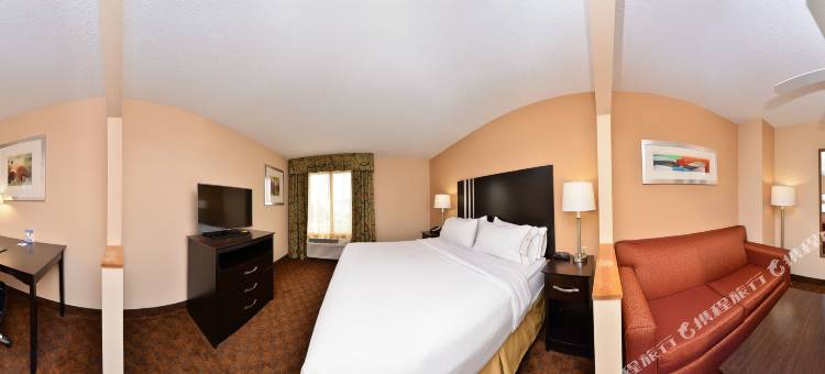 智选假日套房酒店辛辛那提- 布鲁艾施(Holiday Inn Express & Suites Cincinnati-Blue Ash)图片