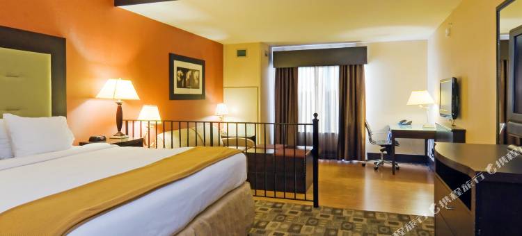 智选假日套房酒店哥伦比亚杰克逊堡(Holiday Inn Express & Suites COLUMBIA-FORT JACKSON by IHG)图片