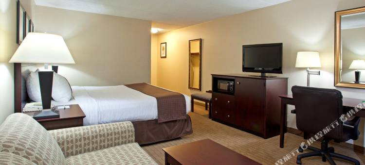 Holiday Inn 广(BELDEN村)(Holiday Inn Canton (Belden Village))图片