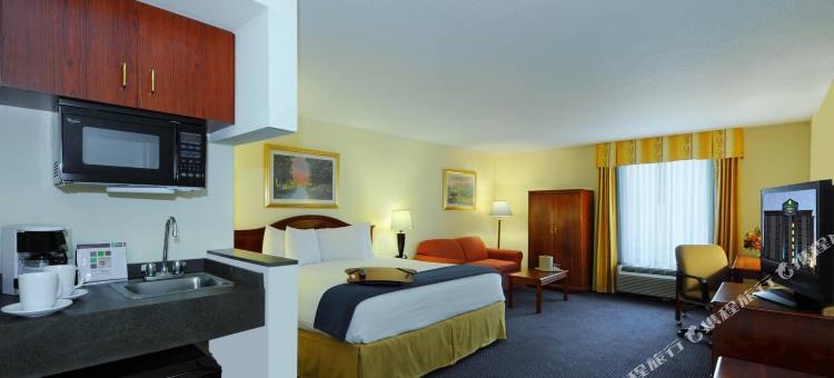 亚特兰大佩里米特购物中心智选假日酒店及套房-洲际酒店集团旗下(Holiday Inn Express & Suites Atlanta N-Perimeter Mall Area)图片