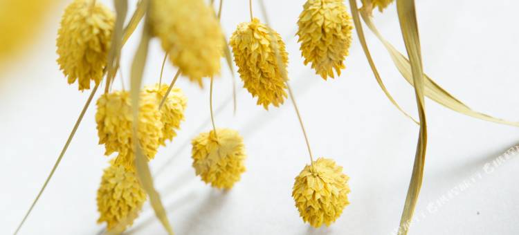 花莲葳森家民宿图片