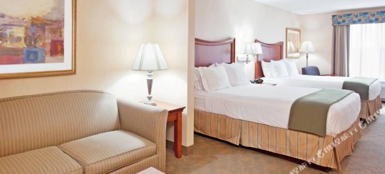 智选假日套房酒店奥本希尔斯(Holiday Inn Express & Suites AUBURN HILLS by IHG)图片