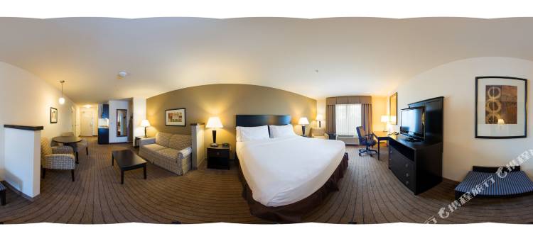 智选假日套房酒店埃尔帕索机场区(Holiday Inn Express & Suites El Paso Airport)图片